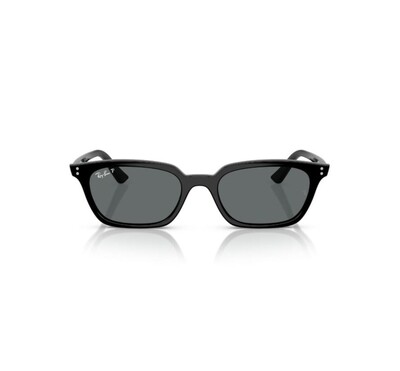 RAY-BAN 0RB4456 667781 50 Unisex Güneş Gözlüğü - 2