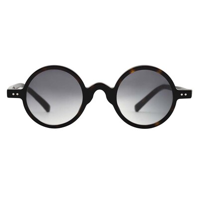 RETRO WILD XXV C03 Unisex Güneş Gözlüğü - 2