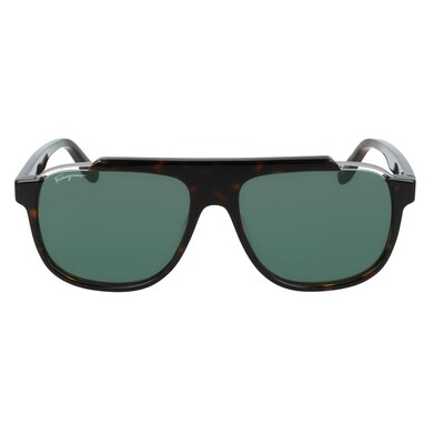 Salvatore Ferragamo SF 1011S 219 58 Unisex Güneş Gözlüğü - 2